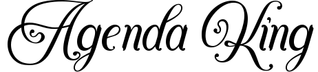 Agenda King