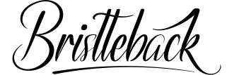 Bristteback