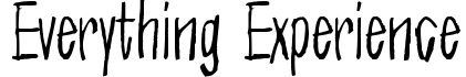 Everything Experience
