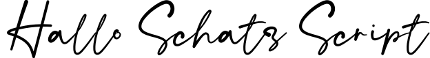 Hallo Schatz Script