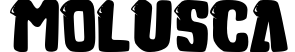 Molusca