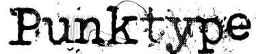 Punktype