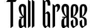 Tall Grass