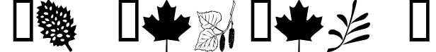 WM Leaves 1
