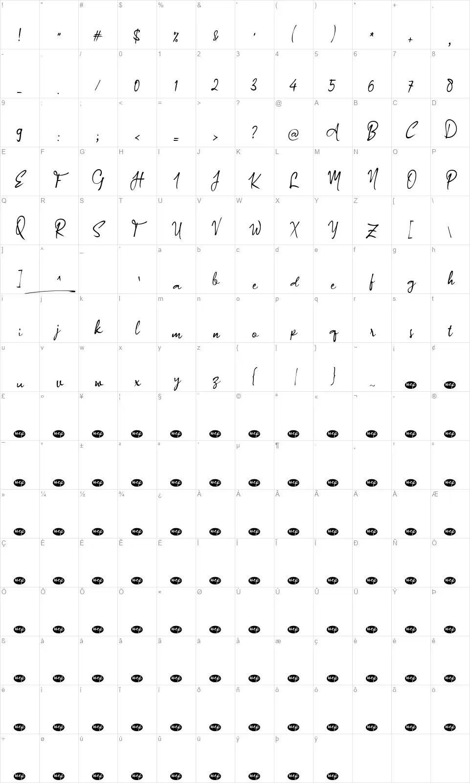 A Authorized Signaturefont character map