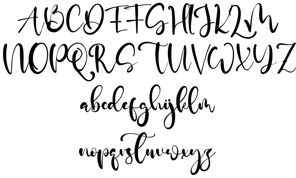 Adam Porterfont specimens