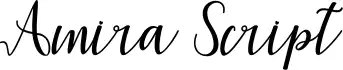 Amira Script