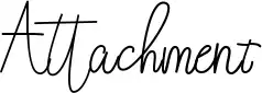 Attachment
