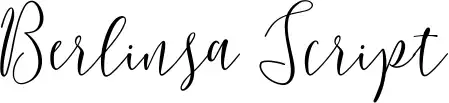 Berlinsa Script
