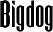 Bigdog