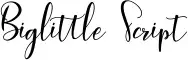 Biglittle Script