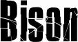 Bison