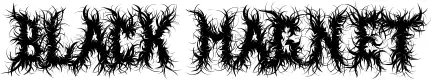 Black Magnet