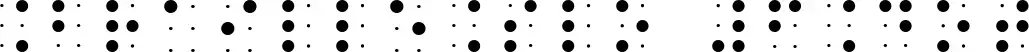 BrailleSlo 6Dot