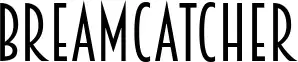 Breamcatcher