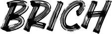 Brich