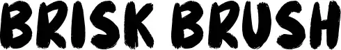 Brisk Brush
