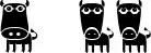 Bulls