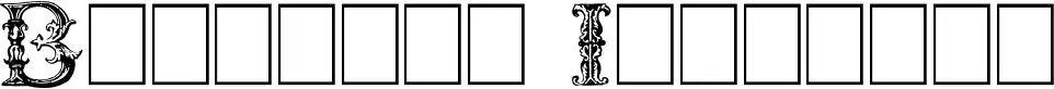 Burgoyne Initials