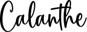Calanthe