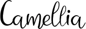 Camellia