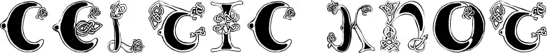 Celtic Knot