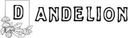 Dandelion