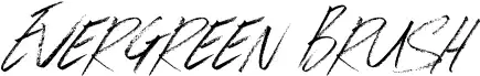Evergreen Brush