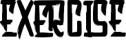 Exercise
