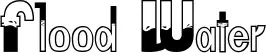 Flood Water