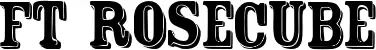 FT Rosecube