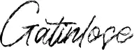 Gatinlose