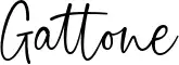 Gattone