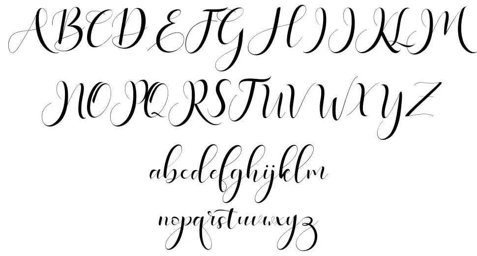 Haleigh Scriptfont specimens