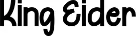 King Eider
