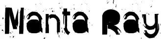 Manta Ray