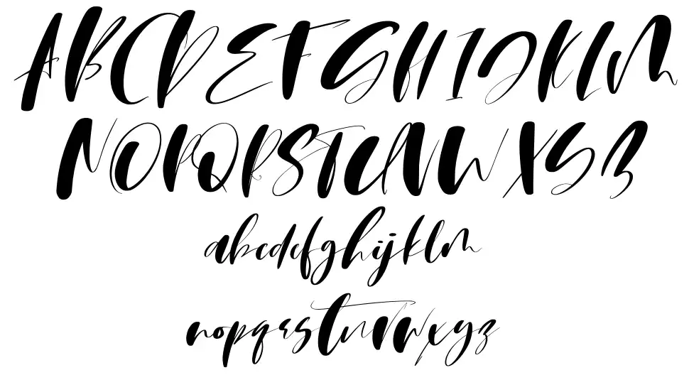 Martin Scriptfont specimens