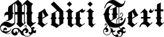 Medici Text
