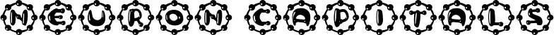 Neuron Capitals