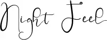 Night Feel