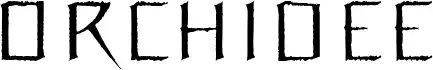 Orchidee