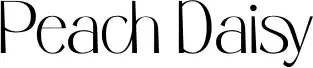 Peach Daisy