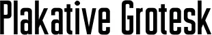Plakative Grotesk