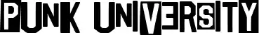 Punk University