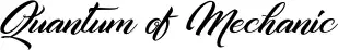 Quantum of Mechanic