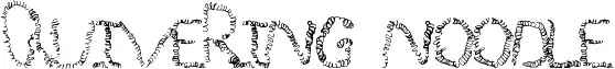 Quivering Noodle