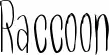 Raccoon