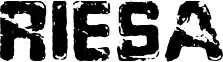 Riesa