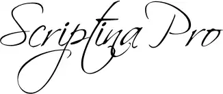 Scriptina Pro