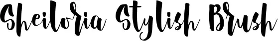 Sheiloria Stylish Brush